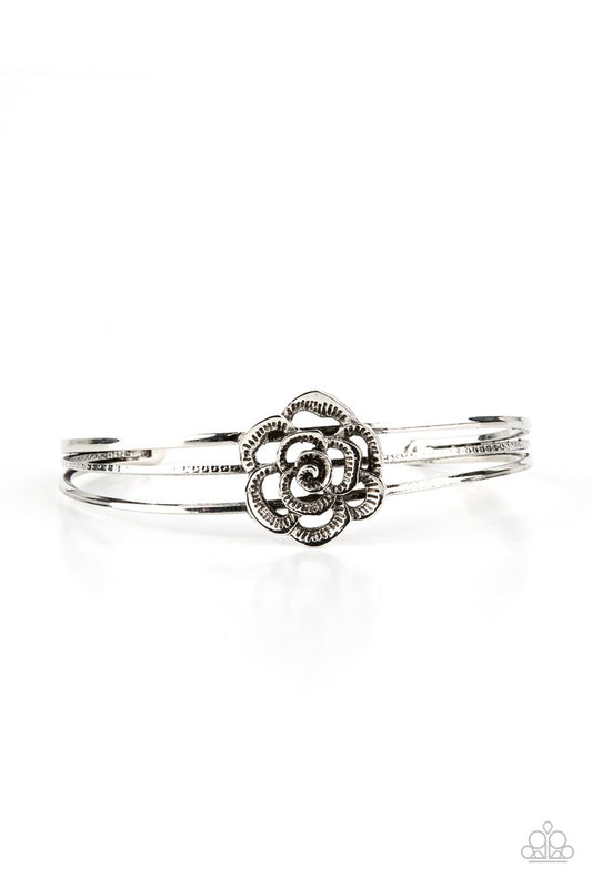 New Paparazzi Jewelry Releases for October 13th, 2021