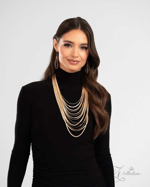 Zi Collection Launch Pack 2024 - Paparazzi Zi Collection Image