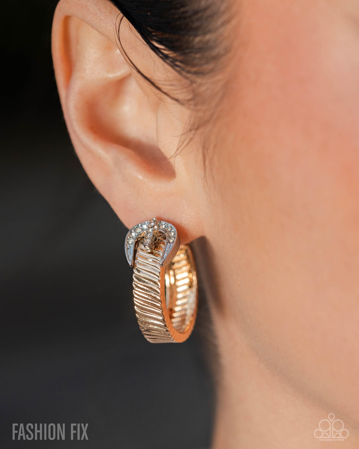 Assured Accent - Paparazzi Earring Image
