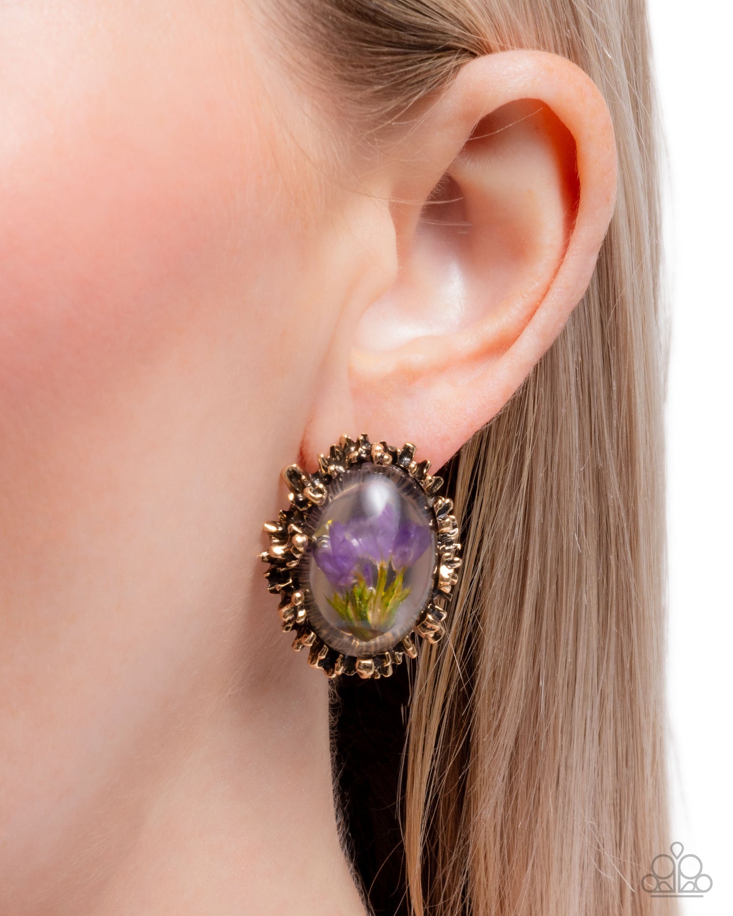 Elaborately Encased - Gold - Paparazzi Earring Image