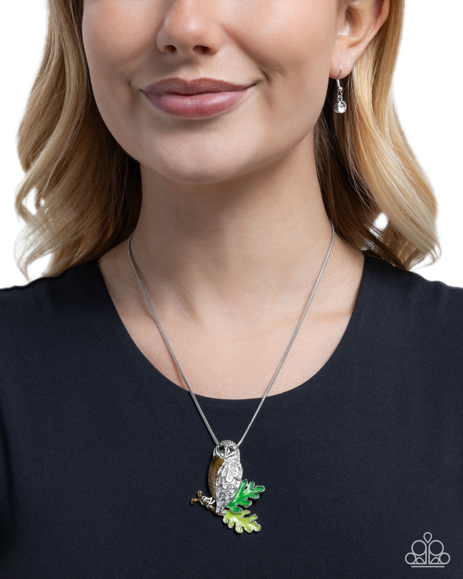 Owl Order - Brown - Paparazzi Necklace Image