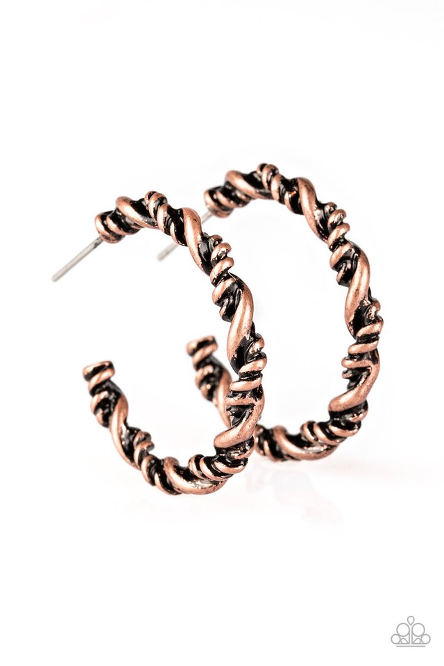 Plainly Panama - Copper - Paparazzi Earring Image