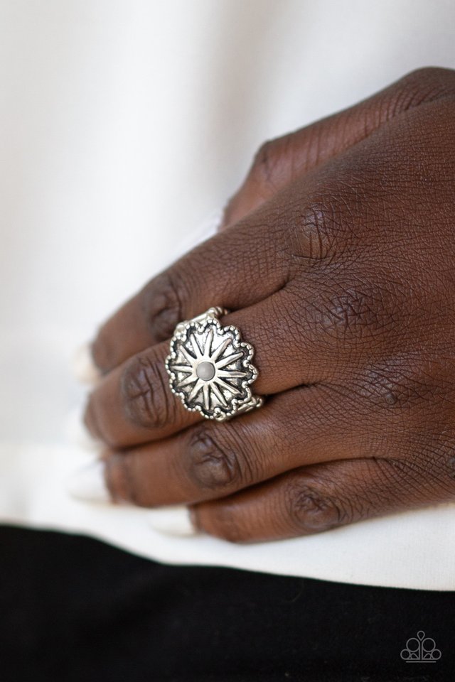 Stone Sensei - Silver - Paparazzi Ring Image