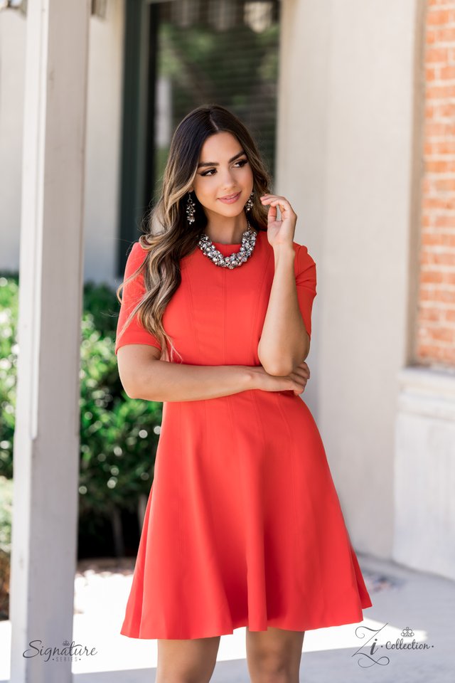 The Haydee - Paparazzi Necklace Image