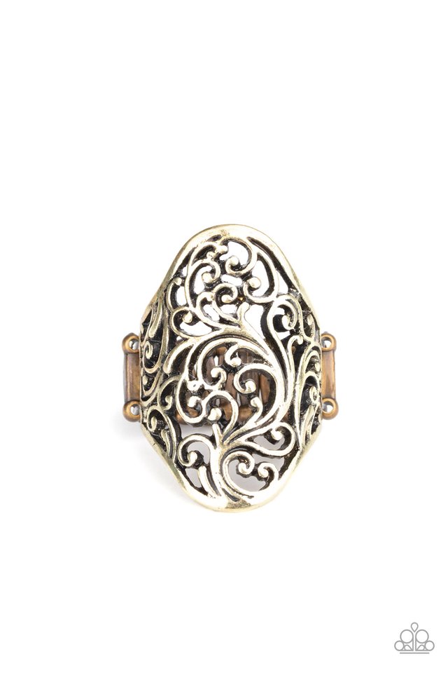 Vine Vibe - Brass - Paparazzi Ring Image