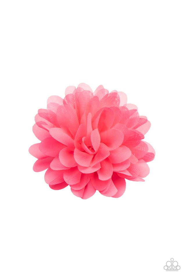 Blossom Blowout - Pink - Paparazzi Hair Accessories Image