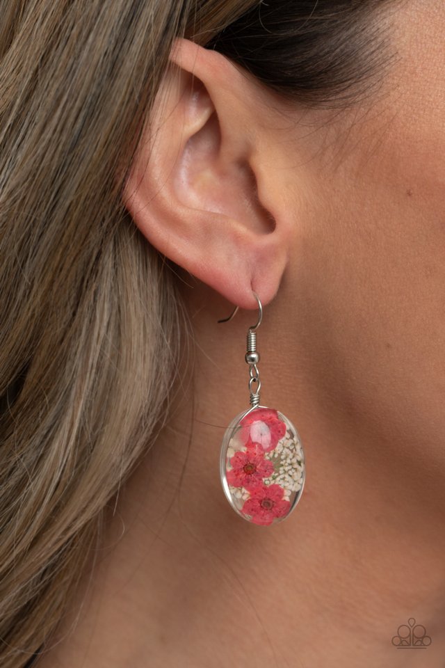 Encased Enchantment - Pink - Paparazzi Earring Image