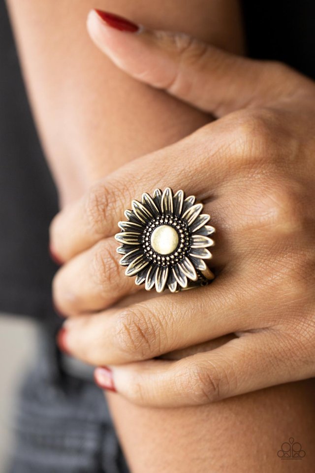Farmstead Fashion - Brass - Paparazzi Ring Image