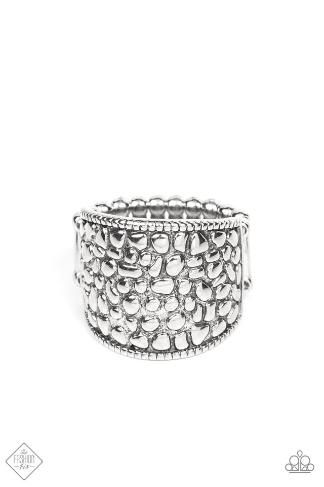 Dotted Decorum - Silver - Paparazzi Ring Image