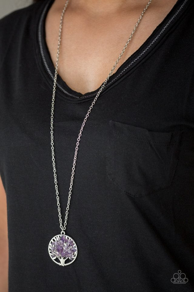 Paparazzi Necklace ~ Naturally Nirvana - Purple