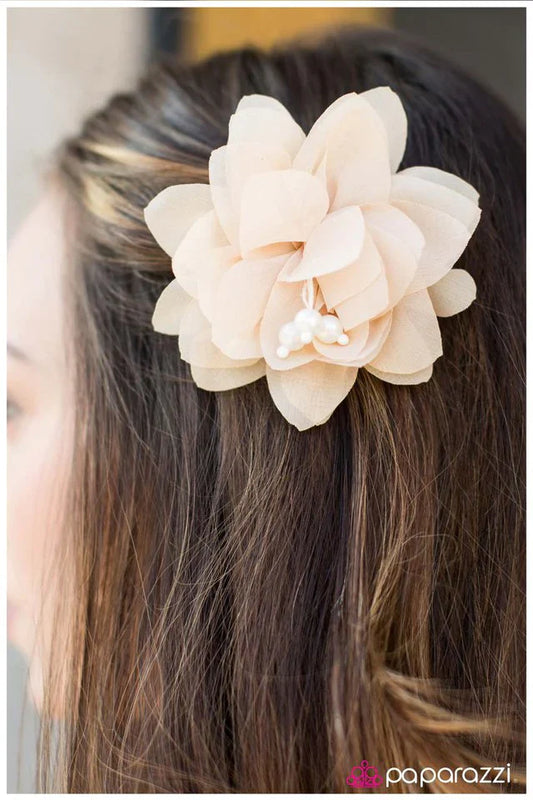 Paparazzi Hair Accessories ~ Time To Move On - Brown