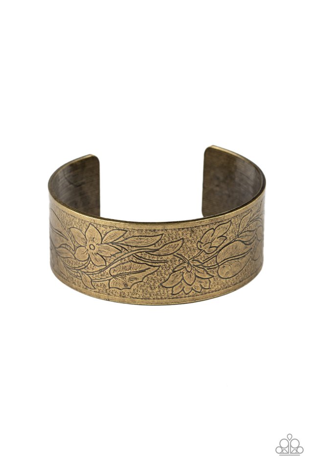Paparazzi Bracelet ~ Garden Variety - Brass