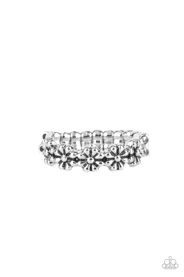 ������Farmhouse Fashion - Silver - Paparazzi Ring Image