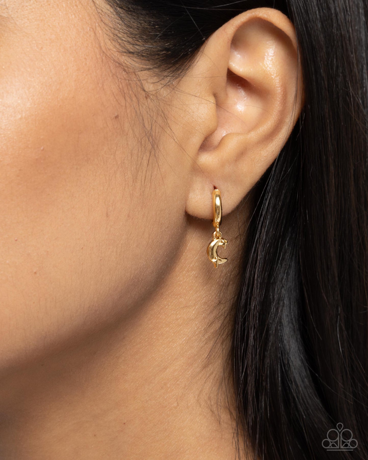 Lunar Language - Paparazzi Earring Image
