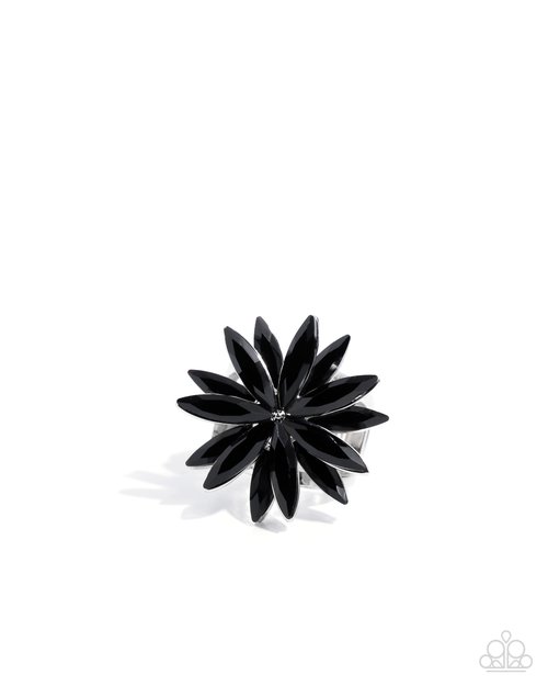 Sophisticated Shine - Paparazzi Ring Image