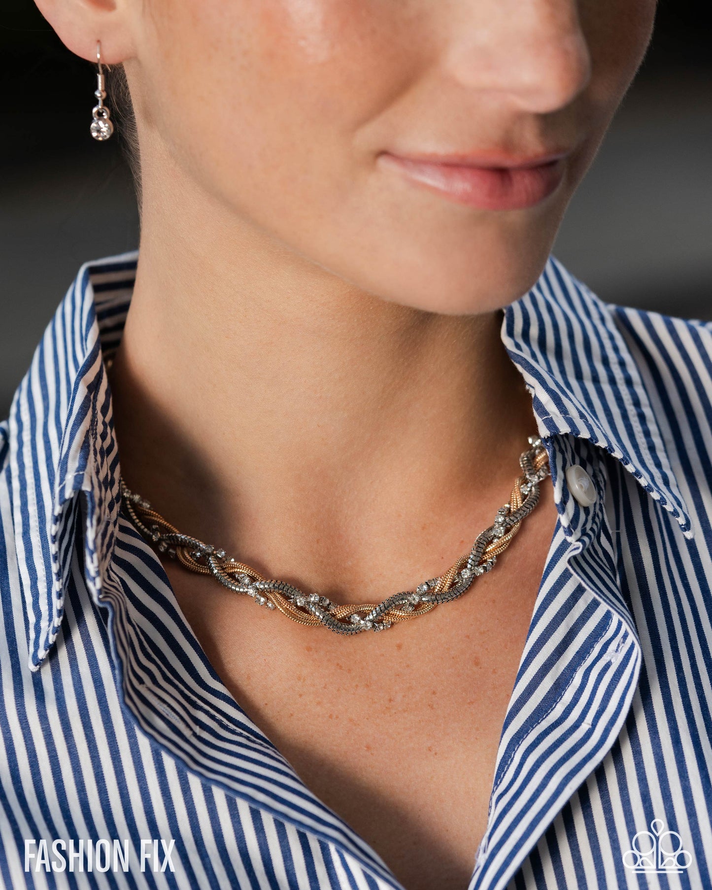 Distinguished Dominance - Paparazzi Necklace Image