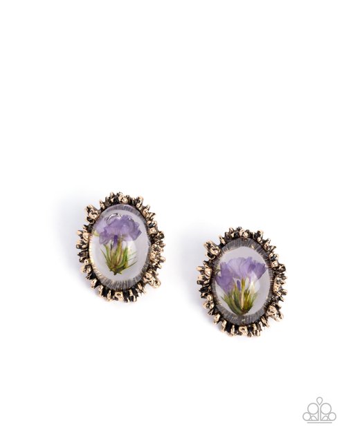 Elaborately Encased - Gold - Paparazzi Earring Image