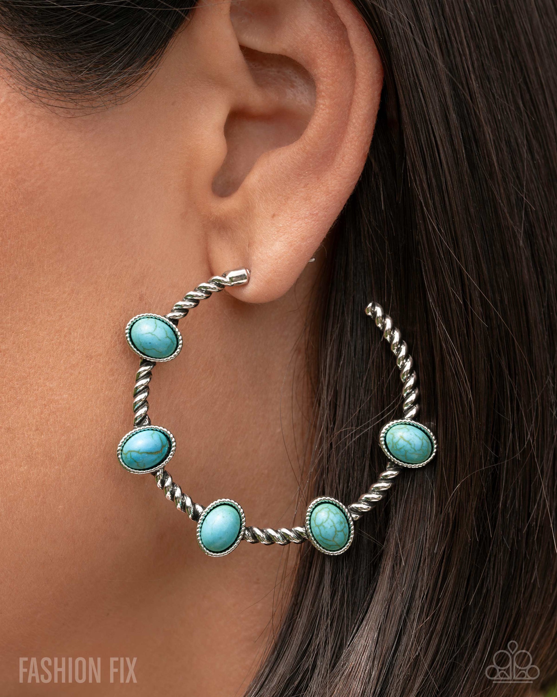 Canyon Course - Paparazzi Earring Image