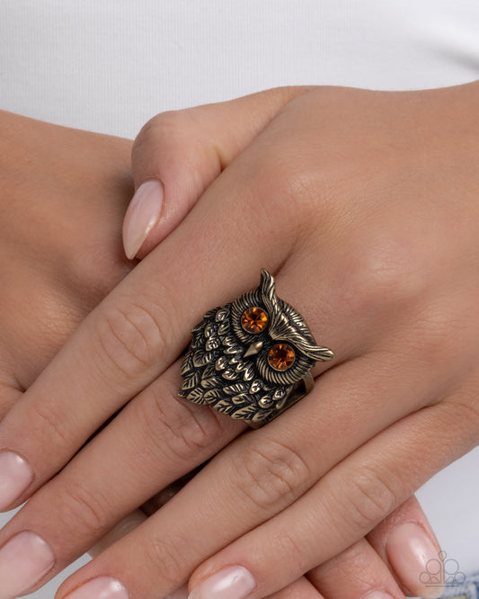 Wisest of Them All - Brass - Paparazzi Ring Image