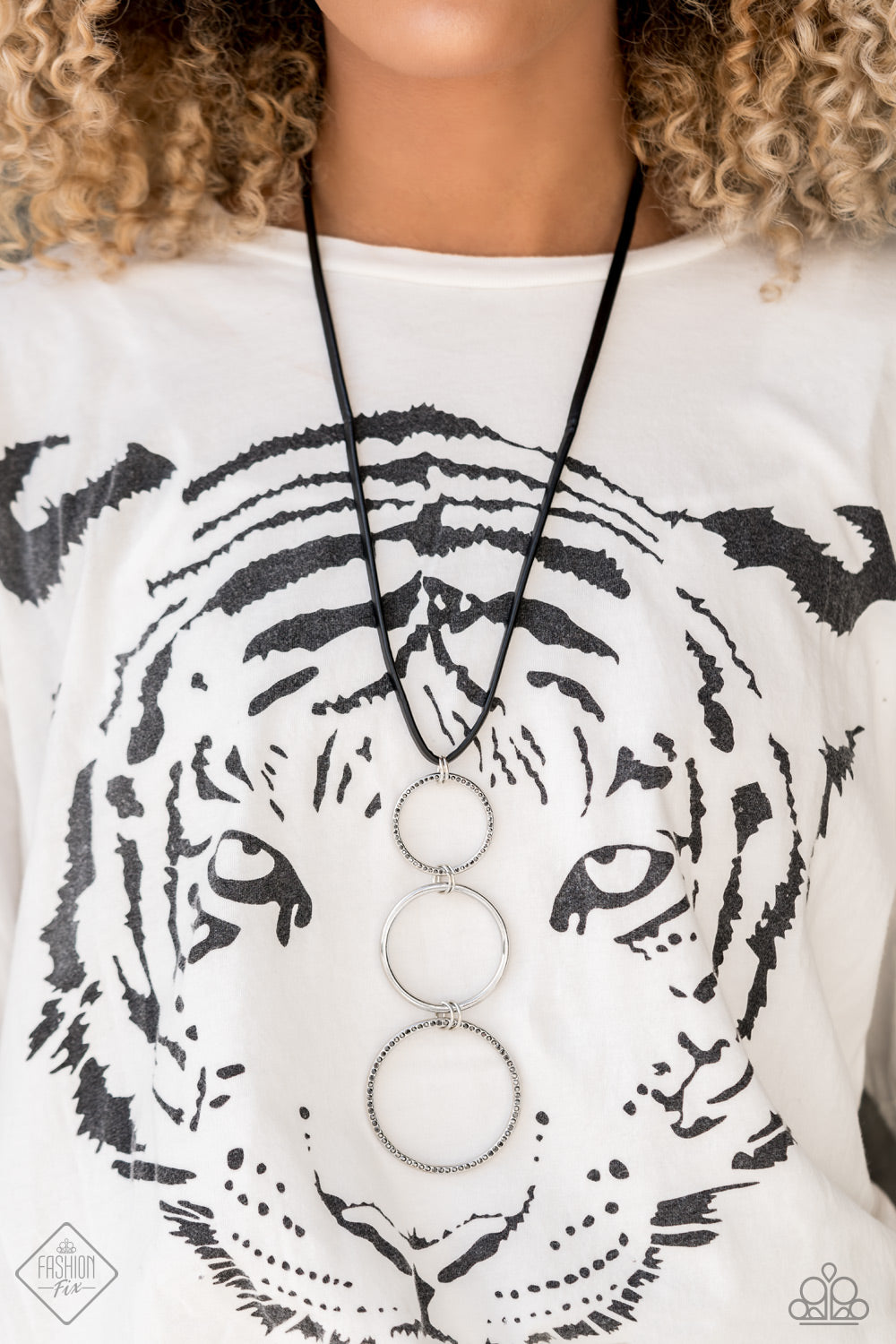 Paparazzi Necklace Fashion Fix Dec 2020 ~ Curvy Couture - Silver