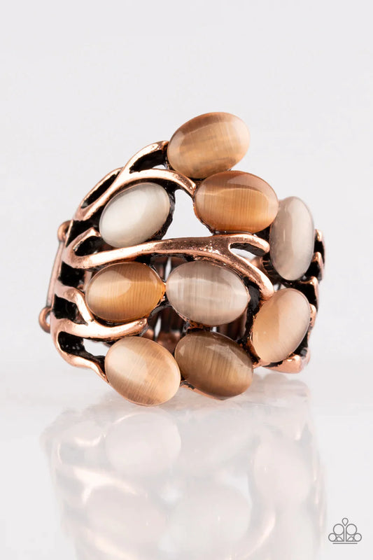 Paparazzi Ring ~ Really Starting To GLOW On Me - Copper