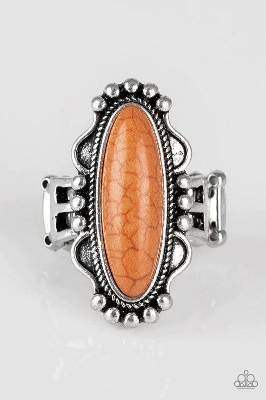 Paparazzi Ring ~ Leave No Trace - Brown