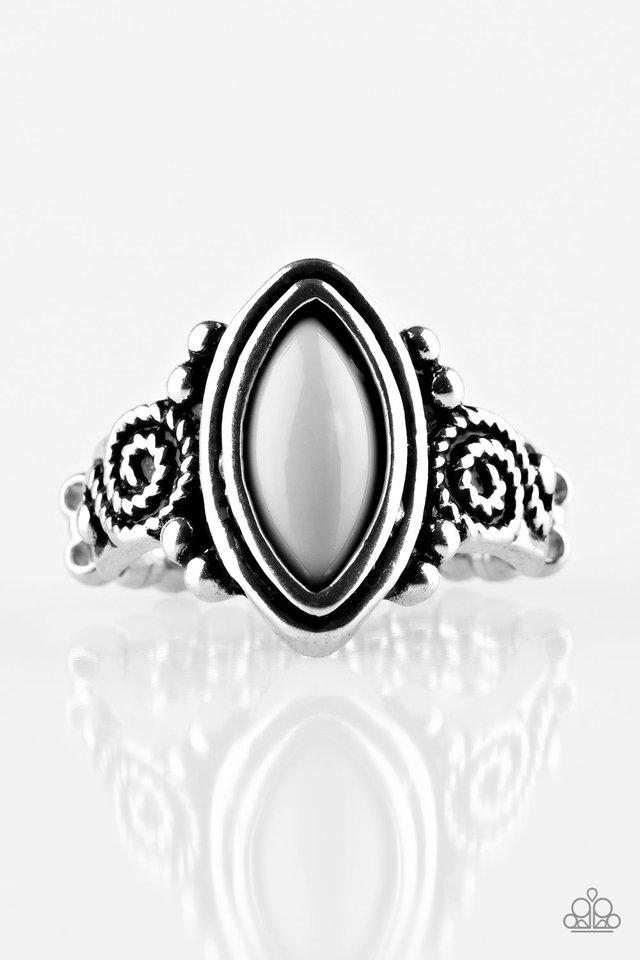 Paparazzi Ring ~ ZOO Hot To Handle - Silver