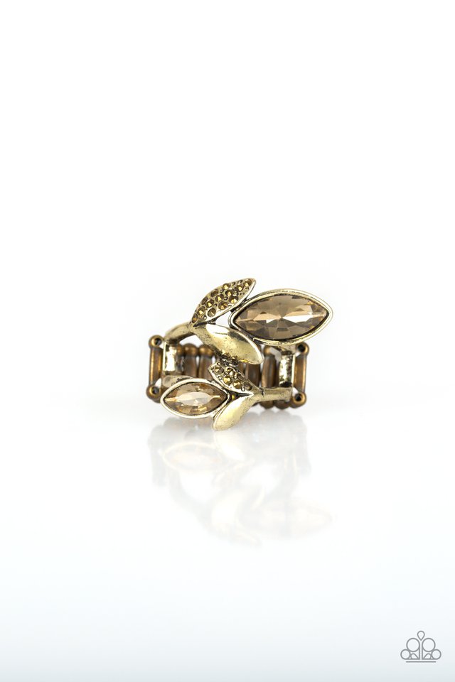 Flawless Foliage - Brass - Paparazzi Ring Image