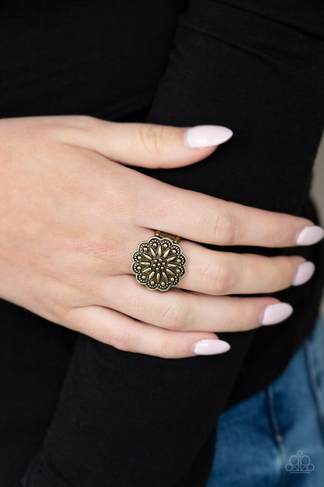 Desert Sunflower - Brass - Paparazzi Ring Image