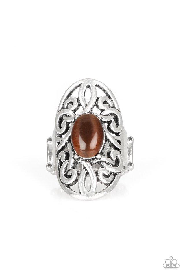 Paparazzi Ring ~ GLEAM Big - Brown