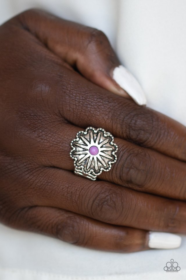 Stone Sensei - Purple - Paparazzi Ring Image