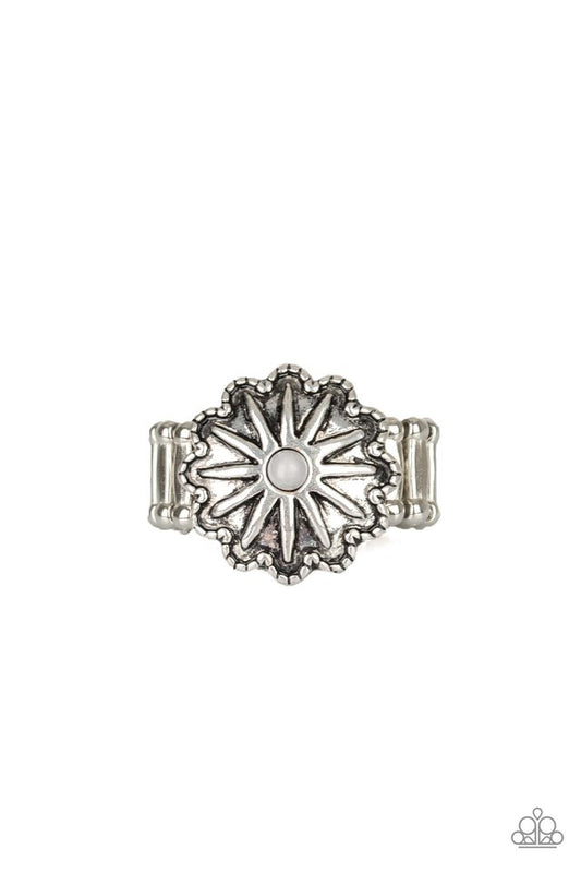 Stone Sensei - Silver - Paparazzi Ring Image