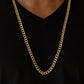 Delta - Gold - Paparazzi Necklace Image