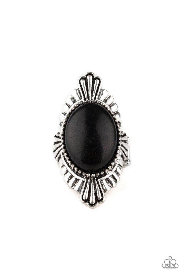 Paparazzi Ring ~ Pioneer Party - Black