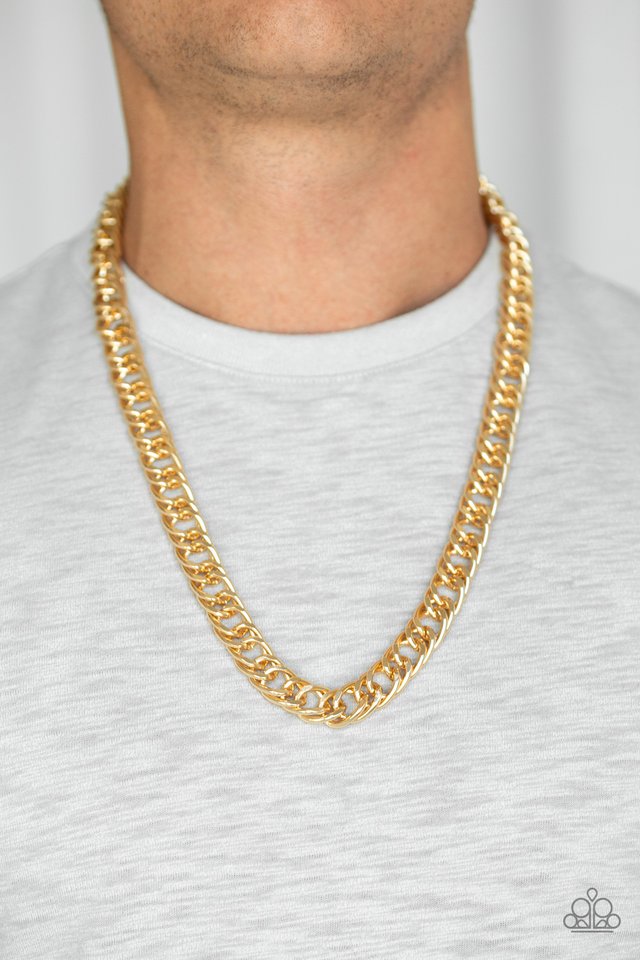 Omega - Gold - Paparazzi Necklace Image