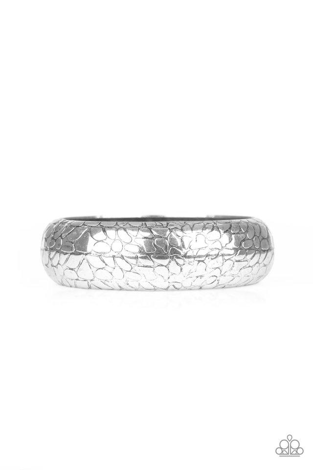 Paparazzi Bracelet ~ Tread Lightly - Silver