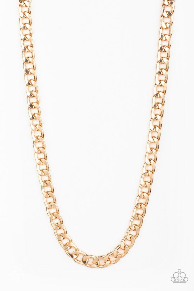 Paparazzi Necklace ~ The Underdog - Gold