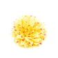 Bloom Boom - Yellow - Paparazzi Hair Accessories Image