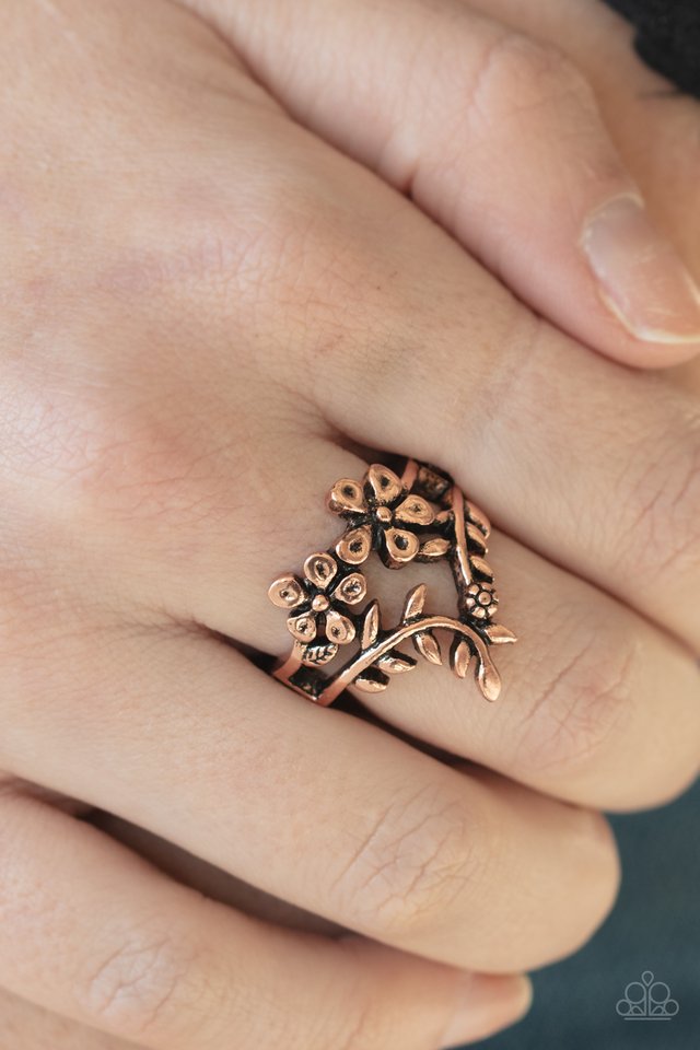 Secret Eden - Copper - Paparazzi Ring Image