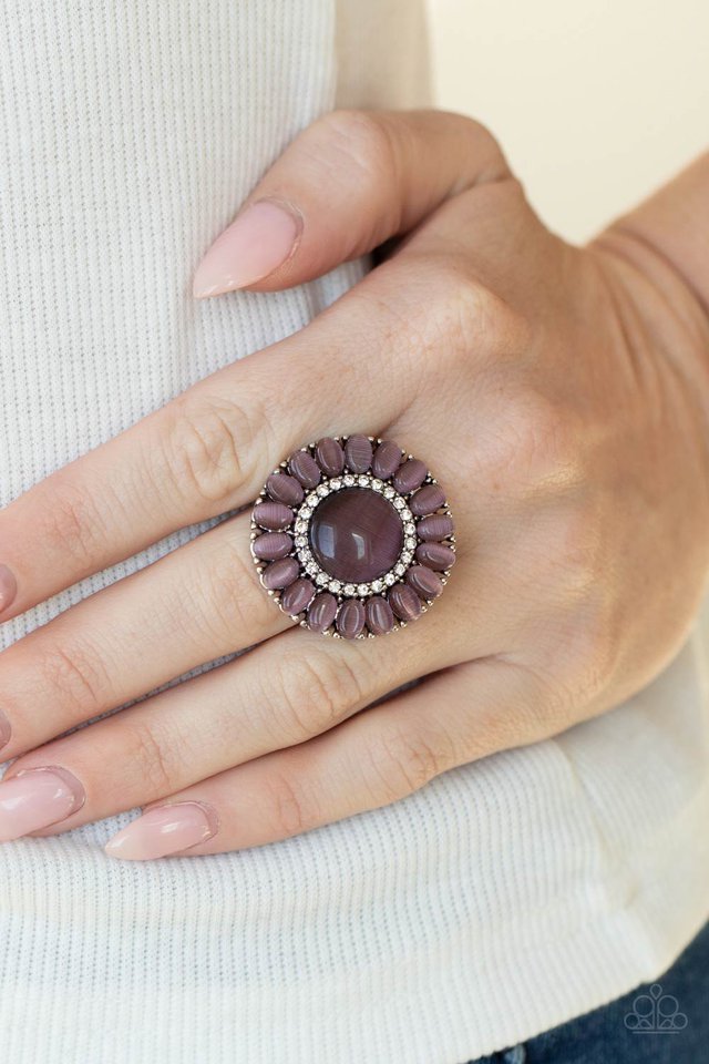 Elegantly Eden - Purple - Paparazzi Ring Image