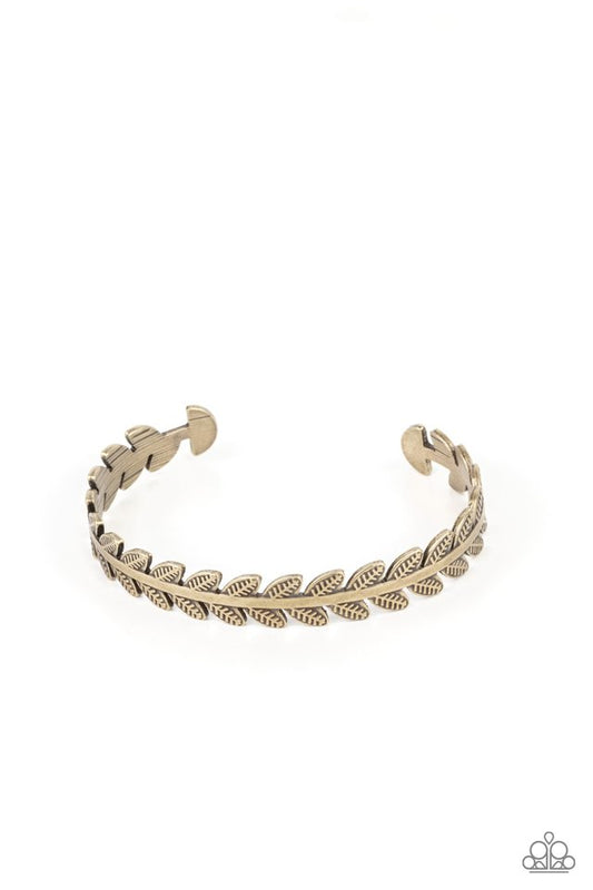 Laurel Groves - Brass - Paparazzi Bracelet Image