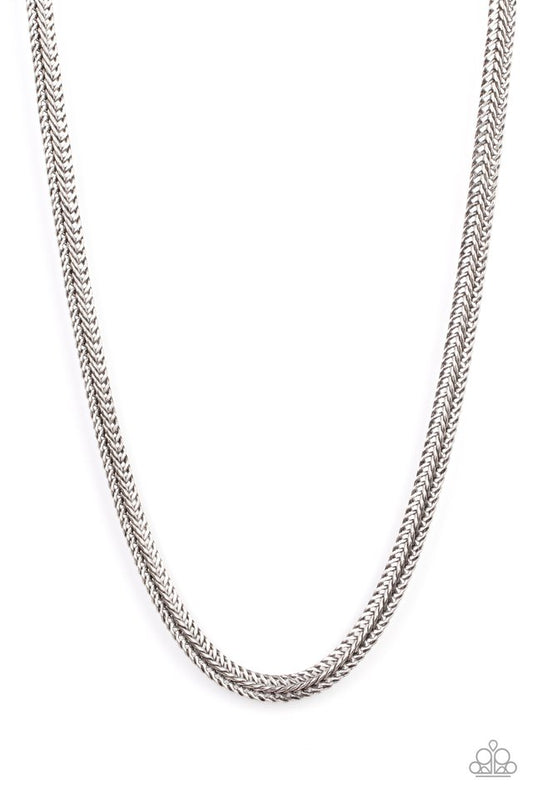 Extra Extraordinary - Silver - Paparazzi Necklace Image