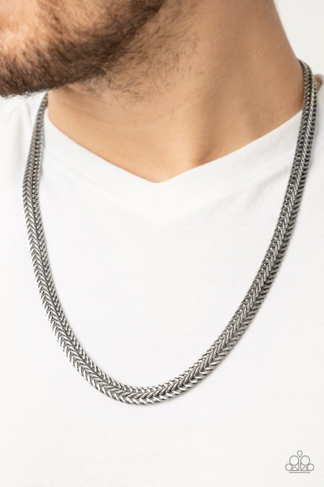 Extra Extraordinary - Silver - Paparazzi Necklace Image