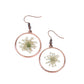 ​Happily Ever Eden - Copper - Paparazzi Earring Image