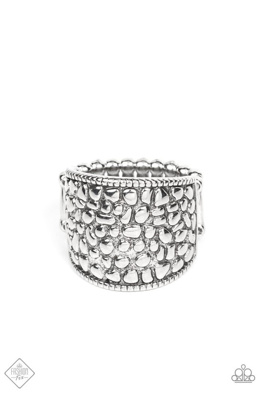 Dotted Decorum - Silver - Paparazzi Ring Image