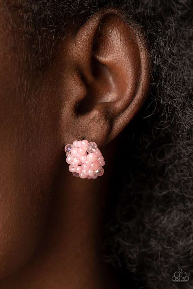 Bunches of Bubbly - Pink - Paparazzi Earring Image