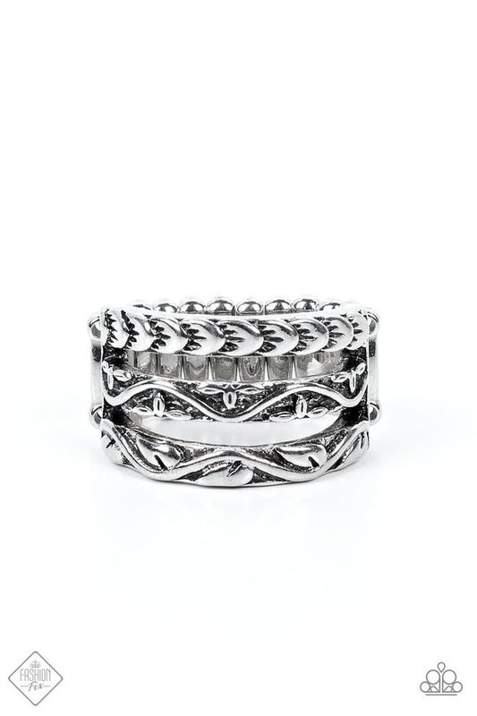 Canyon Canopy - Silver - Paparazzi Ring Image